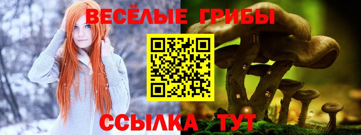 Псилоцибиновые грибы Magic Shrooms Кондопога